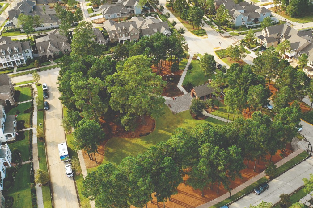 The Woodlands Neighborhood