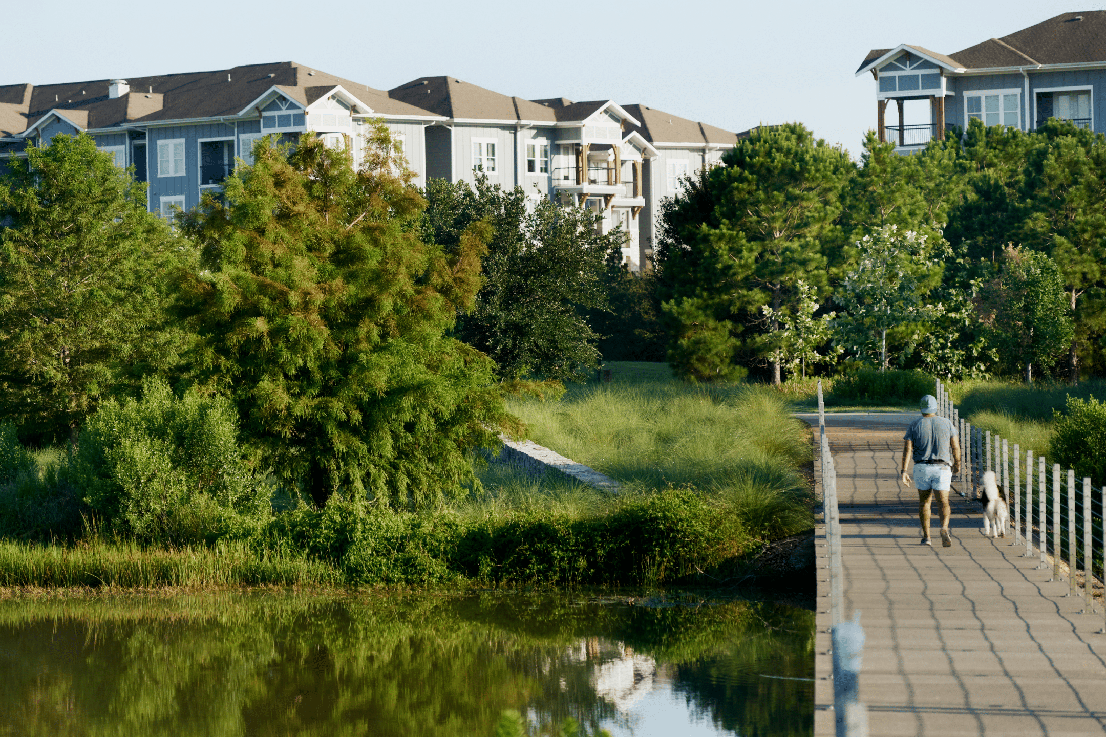 Person with a dog walking on a wood boardwalk over a lake surrounded by lush greenery and trees with multifamily residential buildings in the background.